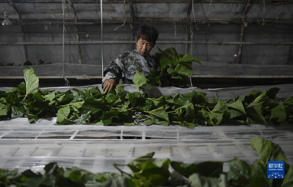 百乐访老品牌值得信赖